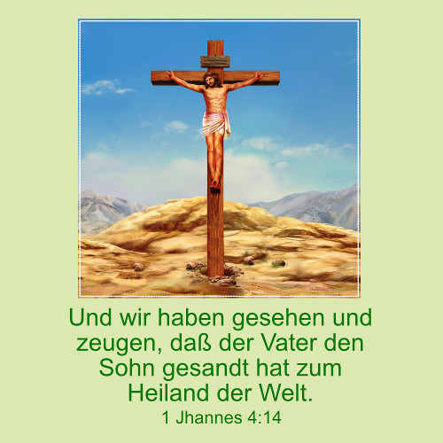 DIE BIBEL STUDIEREN