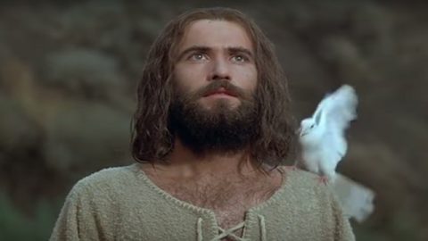 DIE BIBEL STUDIEREN
