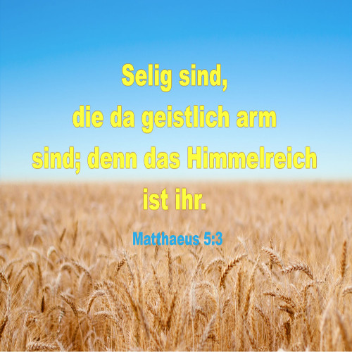 DIE BIBEL STUDIEREN