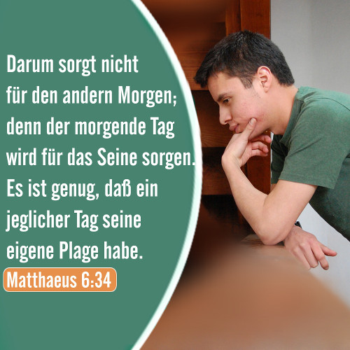DIE BIBEL STUDIEREN