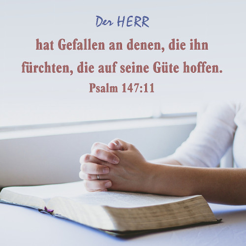DIE BIBEL STUDIEREN