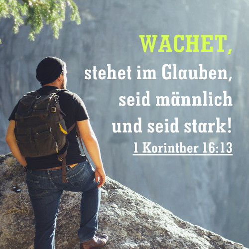 DIE BIBEL STUDIEREN