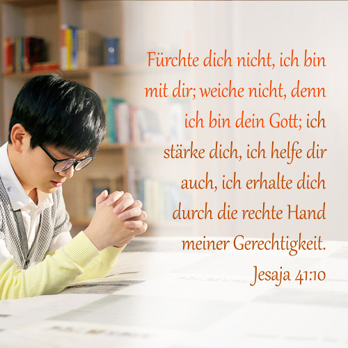DIE BIBEL STUDIEREN