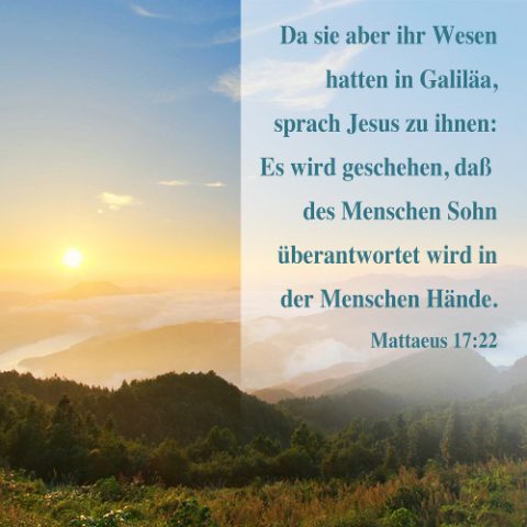 DIE BIBEL STUDIEREN