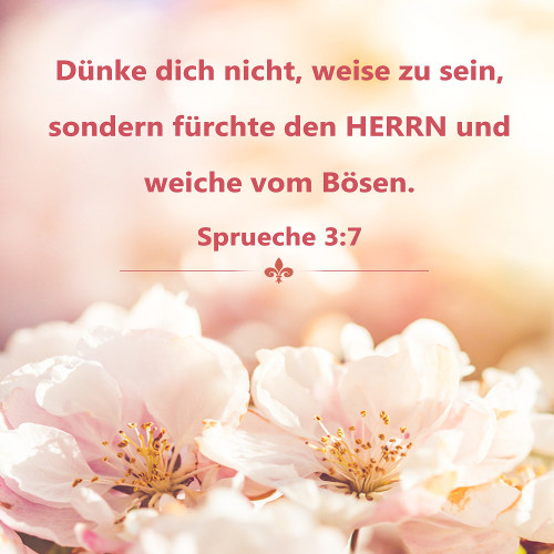 Biblische Bilder Sprueche 3,7