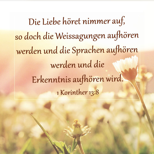 DIE BIBEL STUDIEREN