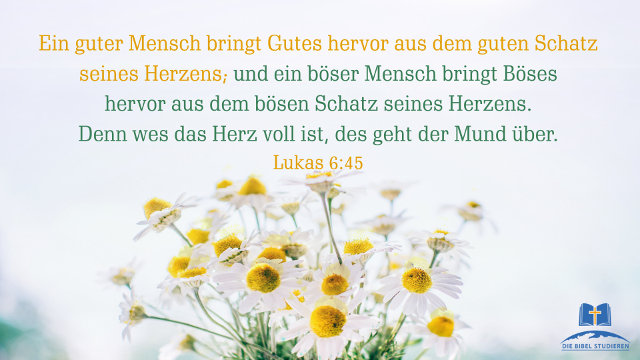 DIE BIBEL STUDIEREN