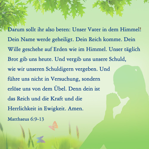 DIE BIBEL STUDIEREN