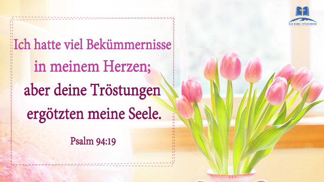 DIE BIBEL STUDIEREN