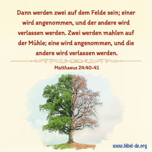 Matthaeus 24：40-41
