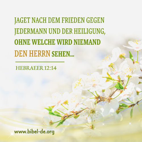 Hebraeer 12：14