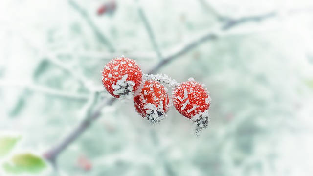 Über 70 Mitglieder der Kirche des Allmächtigen Gottes in Jiangsu verhaftet