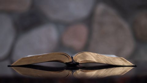Wie behandelt man die Bibel richtig