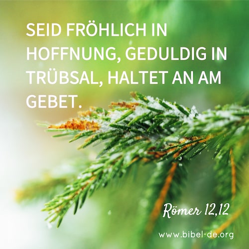 Bibelzitate Römer 12,12