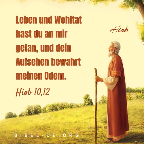 Hiob Bibel
