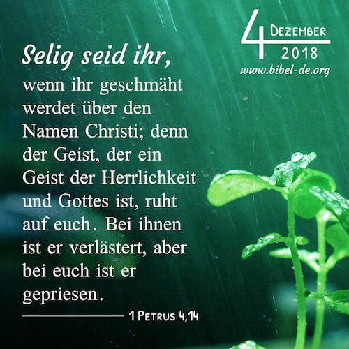 Pflanzen und Regen
