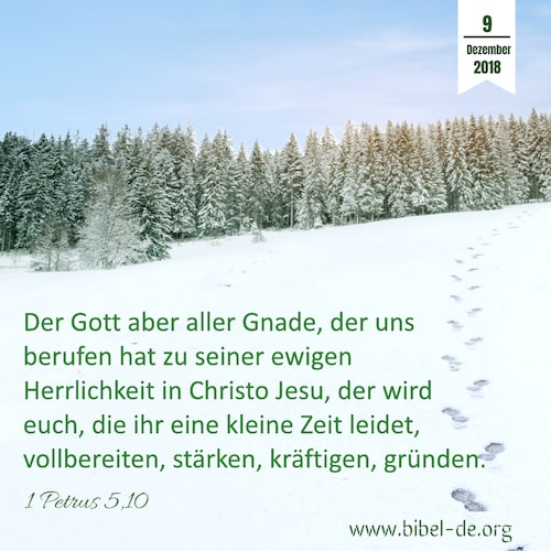 Winter Schnee 
