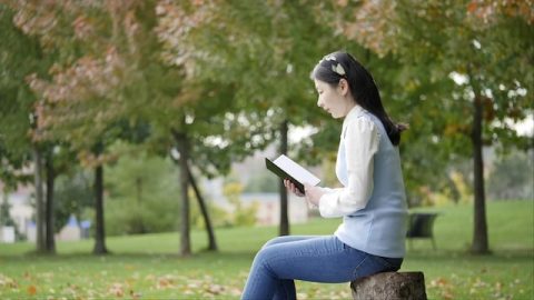 eine Mädchen liest Buch