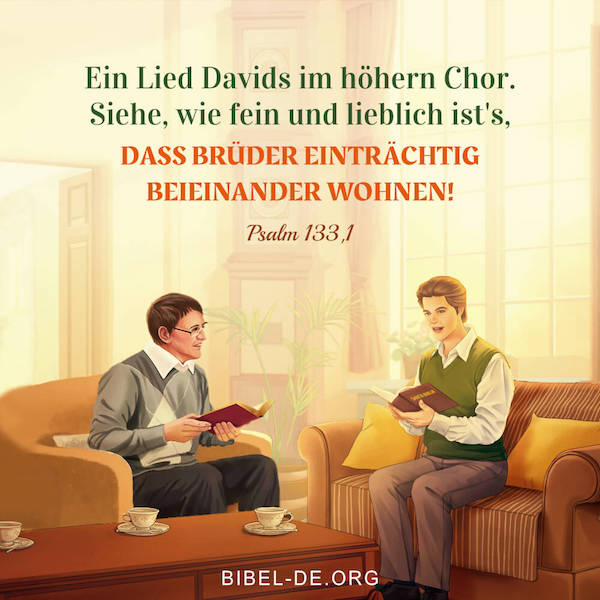 Zwei Männer lesen die Bücher