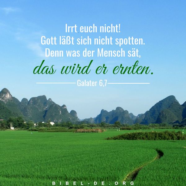 Blauer Himmel, grünes Gras