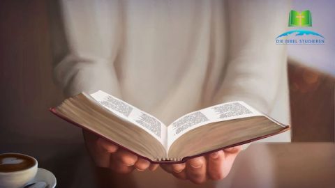 Bibel in der Hand
