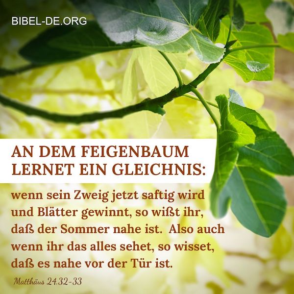 Bibelsprüche - Matthäus 7,13-14