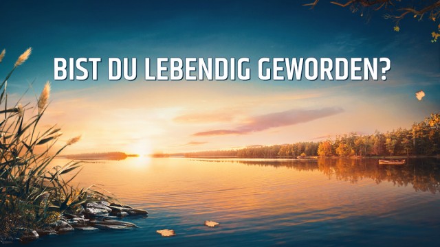 Bist du lebendig geworden?